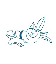 ΞΗΡΟΙ ΚΑΡΠΟΙ-ΚΑΦΕΚΟΠΤΕΙΑ