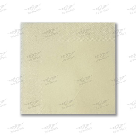 ΧΑΡΤΟΠΕΤΣΕΤΑ ΠΟΛΥΤΕΛΕΙΑΣ 2Φ NUDE 40x40cm 18πακ x100τμχ